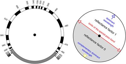 RGB Colors and Ecological Optics